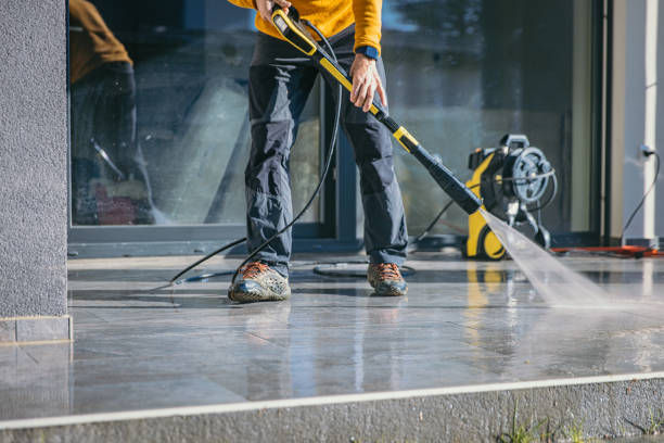 Best Roof Washing  in Trinity, AL